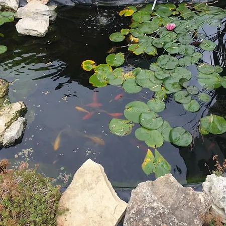 Casa Kalu Costinesti