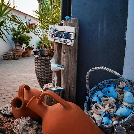 Guest house Casa Kalu Costinesti