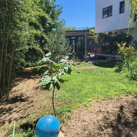 Casa Kalu Costinesti