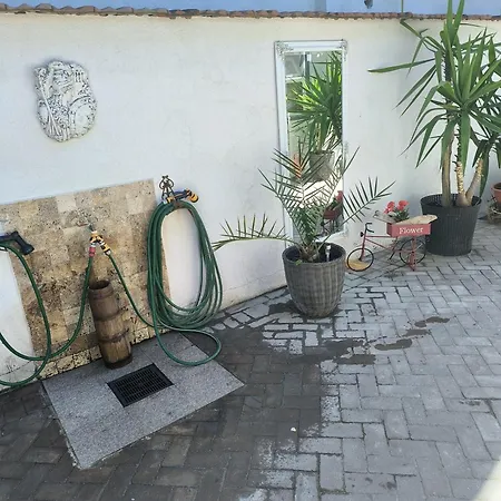 Guest house Casa Kalu Costinesti