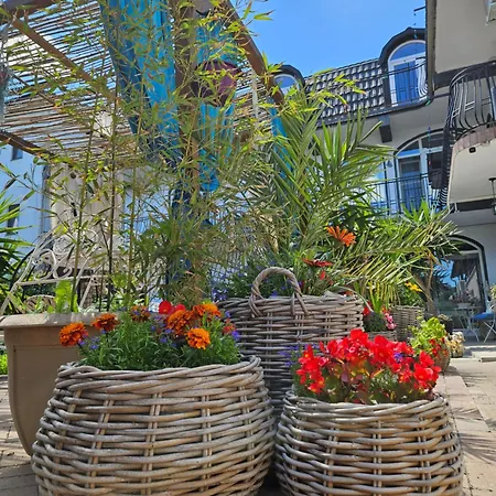 Casa Kalu 3* Costinesti